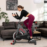 Rower spiningowy HS-065IC Delta - 11