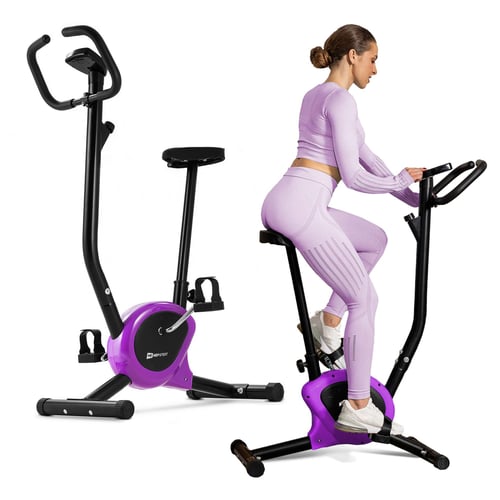 HS-010H Rio purple