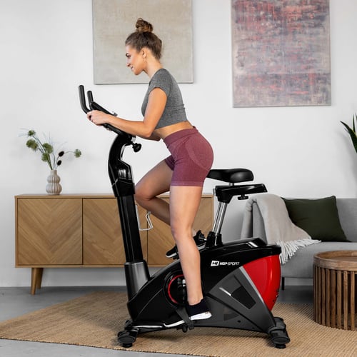 Rower elektryczno-magnetyczny H