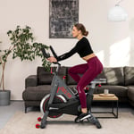Rower spiningowy HS-065IC Delta - 2