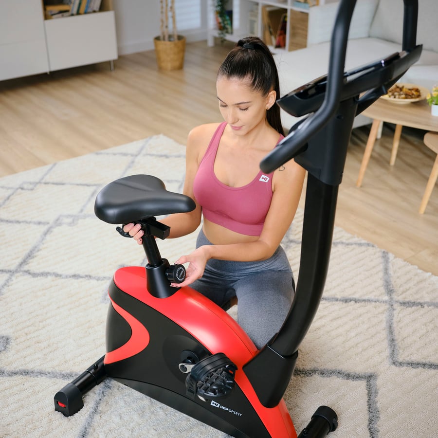 Rower elektryczno-magnetyczny H