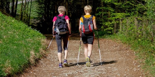 Jakie kijki trekkingowe wybrać na początek?