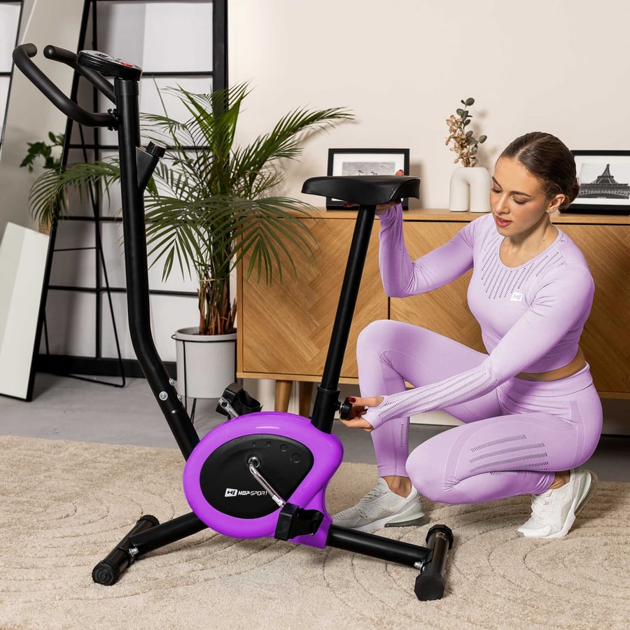 Rower mechaniczny HS-010H Rio