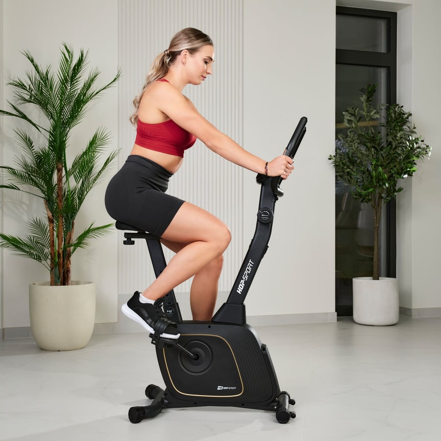 Rower magnetyczny HS-3000H Nexo - 9