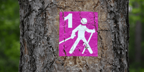 Jak chodzić z kijkami? Prawidłowa technika, efekty i korzyści nordic walkingu