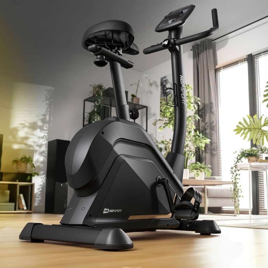 Rower elektryczno-magnetyczny H