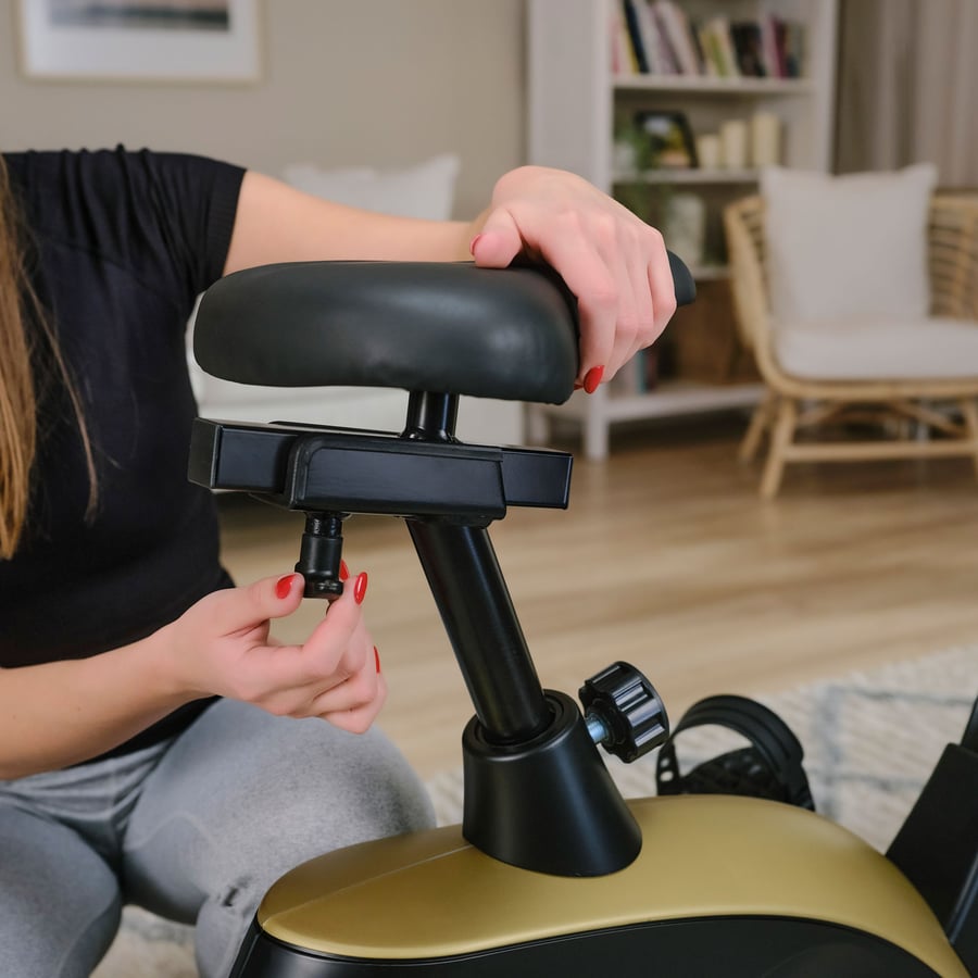 Rower elektryczno-magnetyczny H