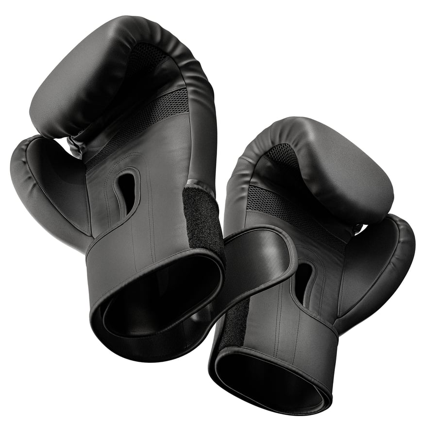 Rękawice bokserskie 12oz HS-BG1 - 10