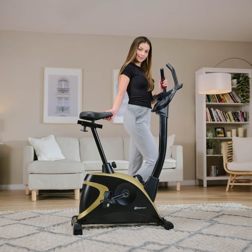 Rower elektryczno-magnetyczny H