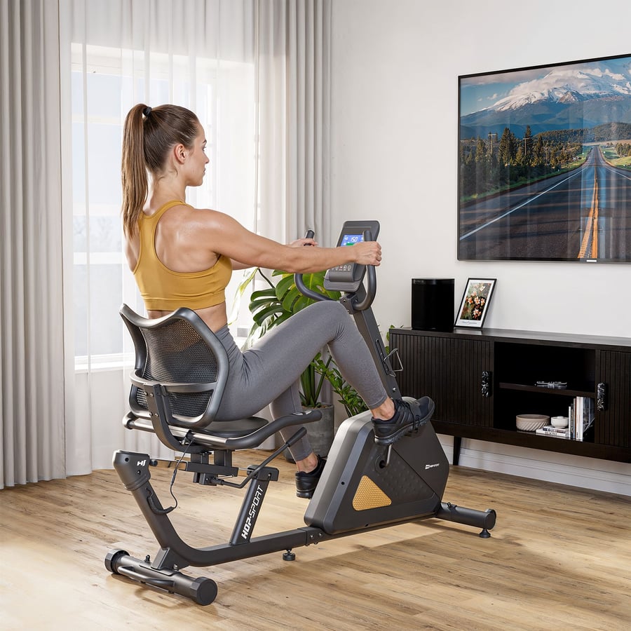 Rower elektryczno-magnetyczny H