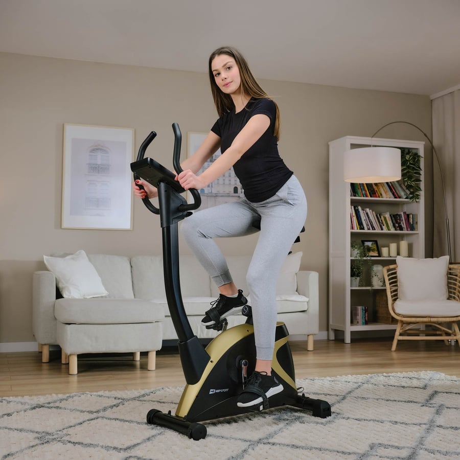 Rower elektryczno-magnetyczny H