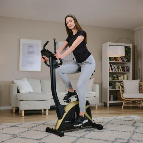 Rower elektryczno-magnetyczny H