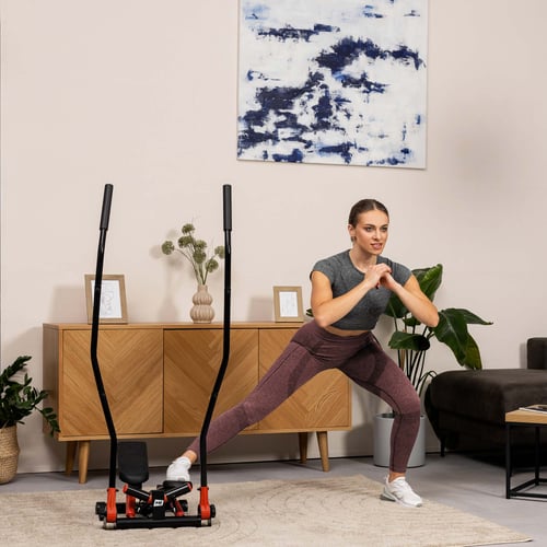 Stepper skrętny z ramionami HS-