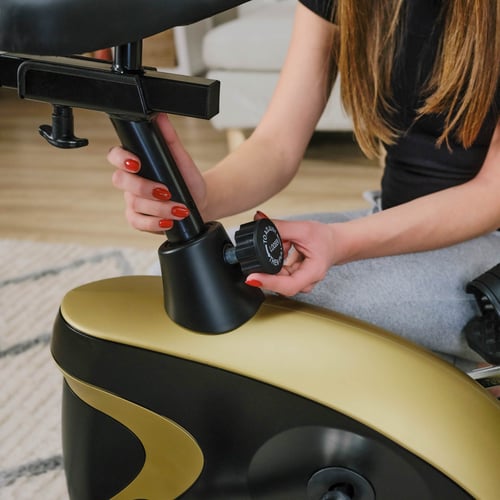 Rower elektryczno-magnetyczny H